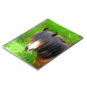 CARNET CHEVAUX (Côté gauche)