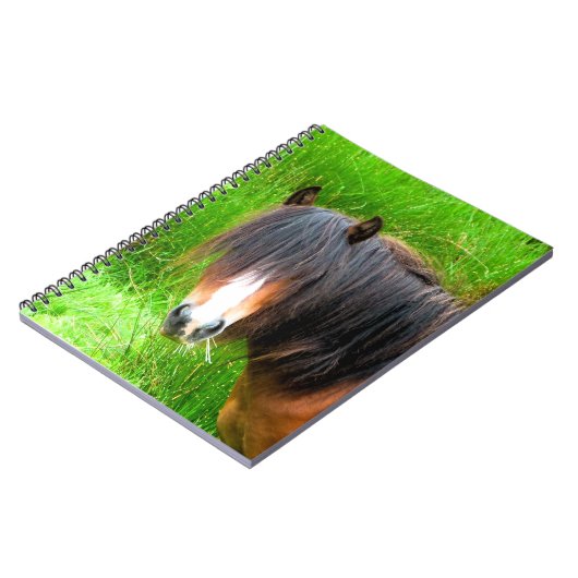 CARNET CHEVAUX (Côté gauche)