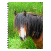 CARNET CHEVAUX (Devant)