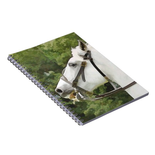 CARNET CHEVAUX (Côté Droit)