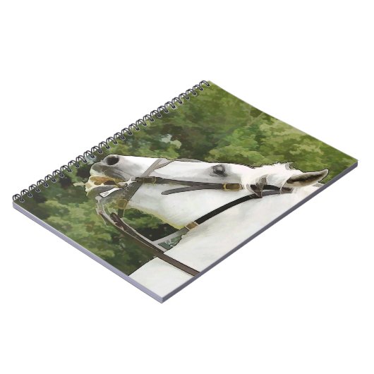 CARNET CHEVAUX (Côté gauche)