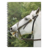 CARNET CHEVAUX (Devant)