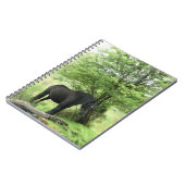 CARNET CHEVAUX (Côté gauche)