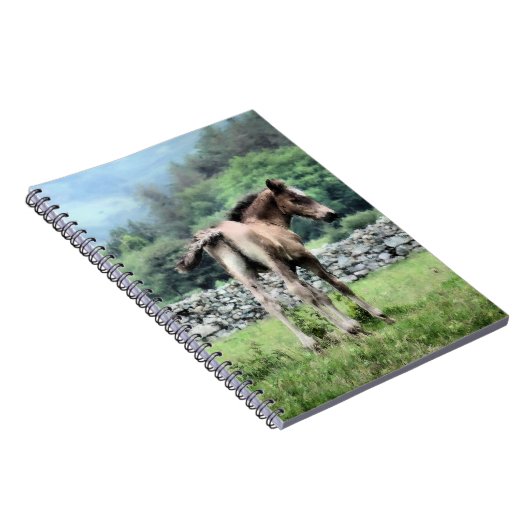 CARNET CHEVAUX (Côté Droit)