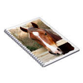 CARNET CHEVAUX (Côté Droit)