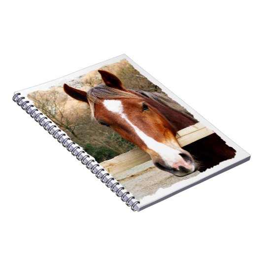 CARNET CHEVAUX (Côté Droit)