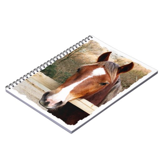 CARNET CHEVAUX (Côté gauche)