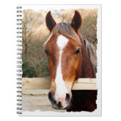 CARNET CHEVAUX (Devant)