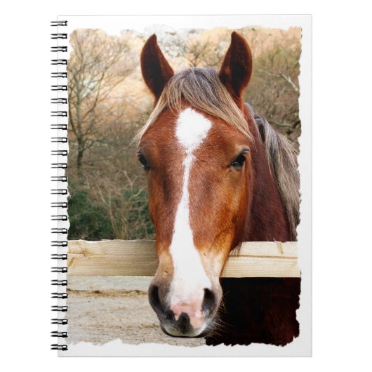 CARNET CHEVAUX (Devant)