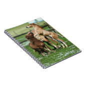 Carnet Chevaux 3 (Côté Droit)