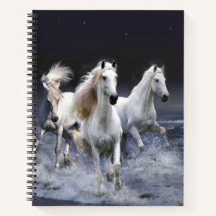 Carnet Chevaux à lancer l'oreiller