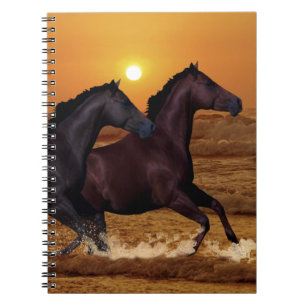 Carnet Chevaux courant au coucher du soleil sur l'océan