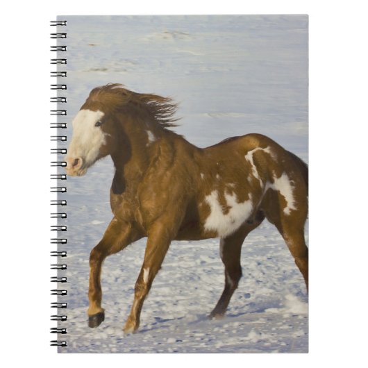 Carnet Chevaux courant dans la neige (Devant)