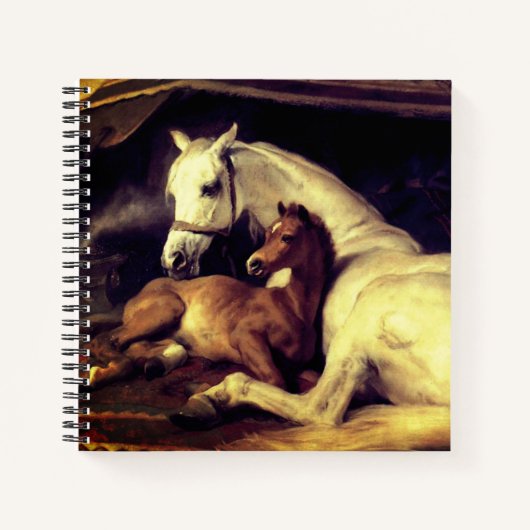 Carnet Chevaux d'atterrisseur (Devant)