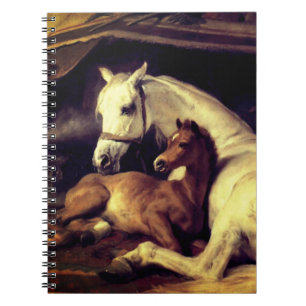 Carnet Chevaux d'atterrisseur