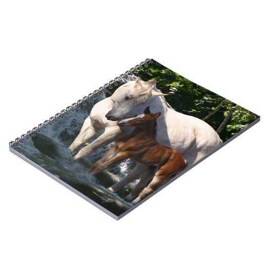 Carnet Chevaux d'imaginaire : Cascade (Côté gauche)