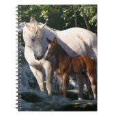 Carnet Chevaux d'imaginaire : Cascade (Devant)