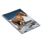 Carnet Chevaux d'imaginaire : Éclaboussure d'été (Côté Droit)