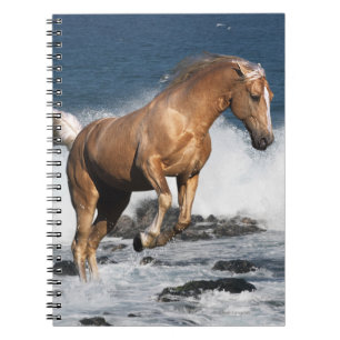 Carnet Chevaux d'imaginaire : Éclaboussure d'été