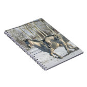 Carnet Chevaux d'imaginaire : Le pays des merveilles (Côté Droit)