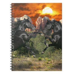 Carnet Chevaux d'imaginaire : Magie noire