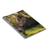 Carnet Chevaux d'imaginaire : Prince de guerrier (Côté Droit)