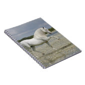 Carnet Chevaux d'imaginaire : Seigneur du lac (Côté Droit)