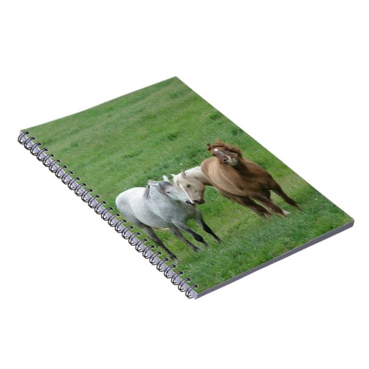Carnet Chevaux drôle (Côté Droit)