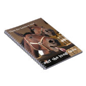 Carnet Chevaux drôles (Côté Droit)