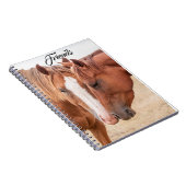 Carnet Chevaux étourdissant dans un pâturage (Côté Droit)
