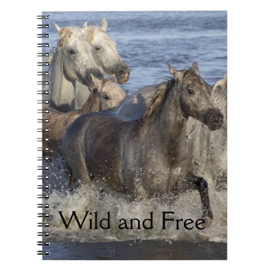 Carnet Chevaux galopant dans l'eau (Devant)