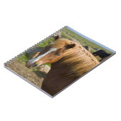 Carnet Chevaux islandais dans le nord-est de l'Islande (Côté gauche)