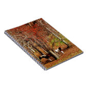 Carnet Chevaux jumeaux Brown et blancs (Côté Droit)