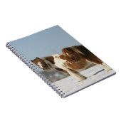 Carnet Chevaux miniatures se tenant dans la neige (Côté Droit)