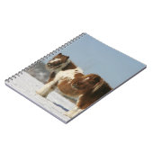 Carnet Chevaux miniatures se tenant dans la neige (Côté gauche)