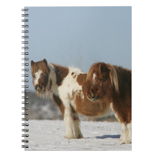 Carnet Chevaux miniatures se tenant dans la neige (Devant)