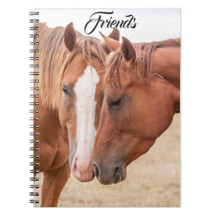Carnet Chevaux qui se câlinent dans un pâturage