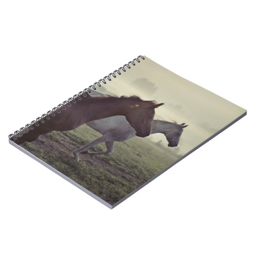 Carnet Chevaux sauvages (Côté gauche)