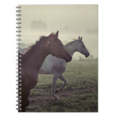 Carnet Chevaux sauvages (Devant)
