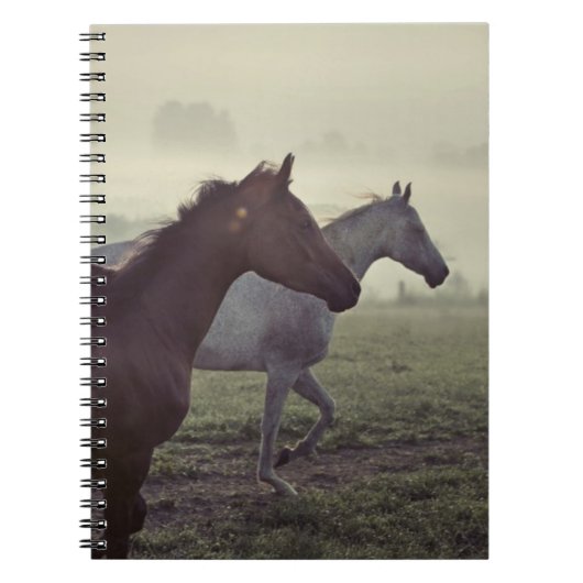 Carnet Chevaux sauvages (Devant)