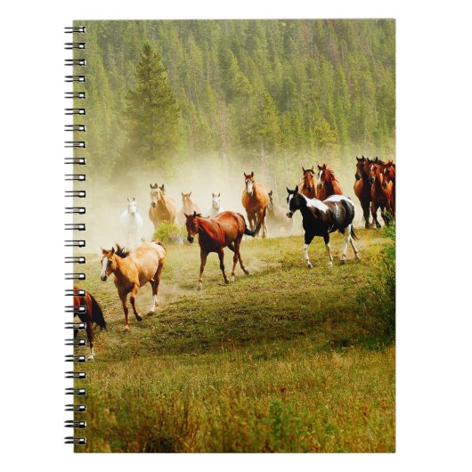 Carnet Chevaux sauvages (Devant)