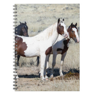 CARNET CHEVAUX SAUVAGES