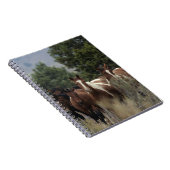 Carnet Chevaux sauvages 2 de mustang (Côté Droit)