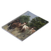 Carnet Chevaux sauvages 2 de mustang (Côté gauche)