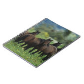 Carnet Chevaux sauvages 3 de mustang (Côté gauche)