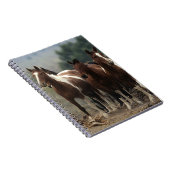 Carnet Chevaux sauvages 7 de mustang (Côté Droit)