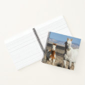 Carnet Chevaux sauvages chez eux dans le bassin de Sandwa (Intérieur)