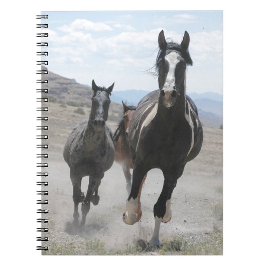 Carnet Chevaux sauvages de l'Utah courant (Devant)