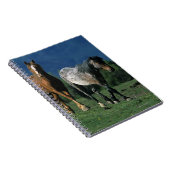 Carnet Chevaux sauvages de mustang (Côté Droit)
