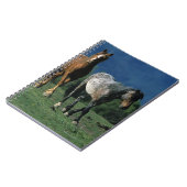 Carnet Chevaux sauvages de mustang (Côté gauche)